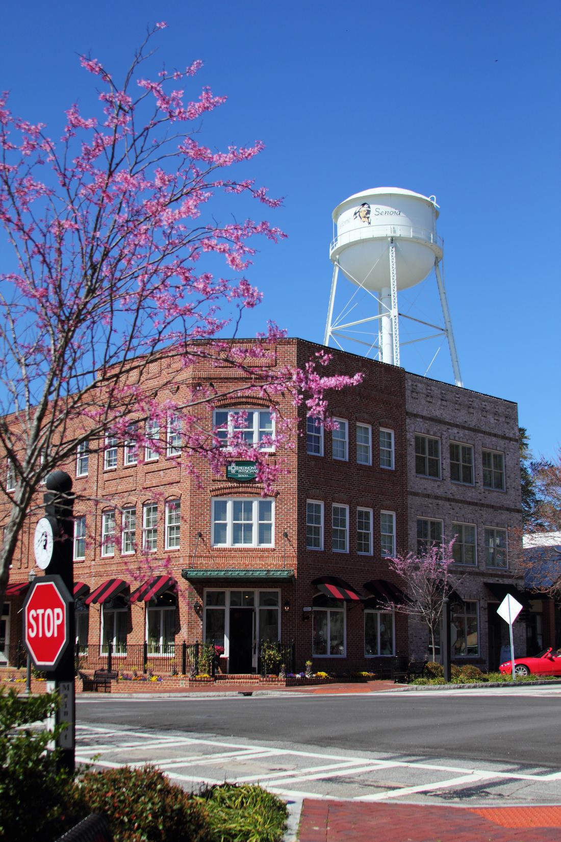Brick storefronts and a white water tower in downtown Senoia under a blue sky with blooming redbud trees